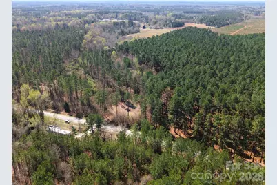 Tract 1&2 Snow Hill Road, Chesterfield, SC 29709 - Photo 11