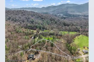 1 Alpine Way, Swannanoa, NC 28778 - Photo 47