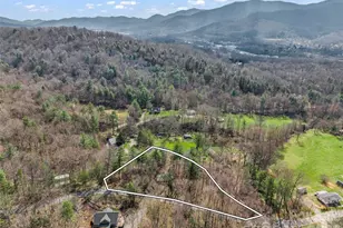 1 Alpine Way, Swannanoa, NC 28778 - Photo 47