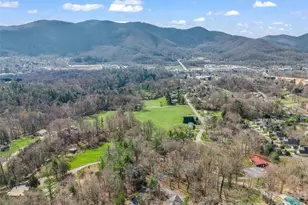 1 Alpine Way, Swannanoa, NC 28778 - Photo 9