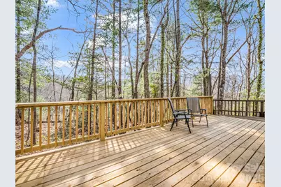 1 Alpine Way, Swannanoa, NC 28778 - Photo 23