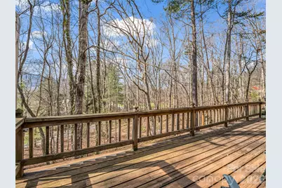 1 Alpine Way, Swannanoa, NC 28778 - Photo 21