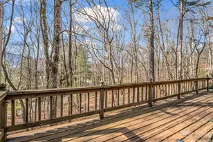1 Alpine Way, Swannanoa, NC 28778 - Photo 21