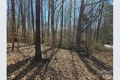 0 General Griffith Circle #37, Rutherfordton, NC 28139 - Photo 3