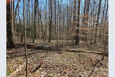 0 General Griffith Circle #37, Rutherfordton, NC 28139 - Photo 5