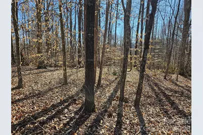 0 General Griffith Circle #37, Rutherfordton, NC 28139 - Photo 1