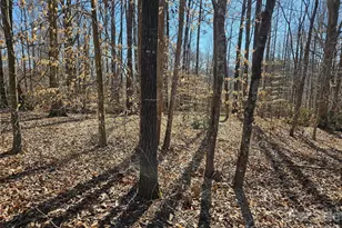 0 General Griffith Circle, Rutherfordton, NC 28139 - Photo 1