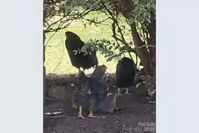 1307 Oakridge Farm Highway, Mooresville, NC 28115 - Photo 39