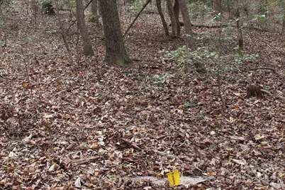 0 Vashti Road, Hiddenite, NC 28636 - Photo 33