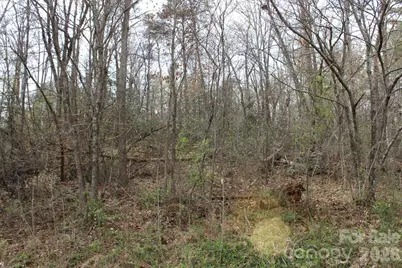 0 Vashti Road, Hiddenite, NC 28636 - Photo 21