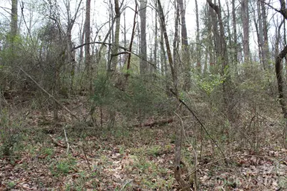 0 Vashti Road, Hiddenite, NC 28636 - Photo 27