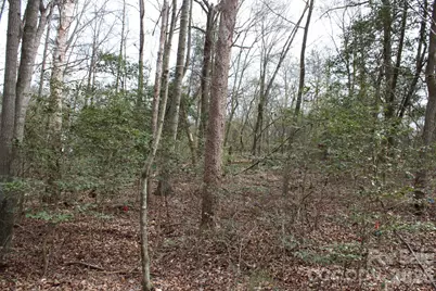 0 Vashti Road, Hiddenite, NC 28636 - Photo 35