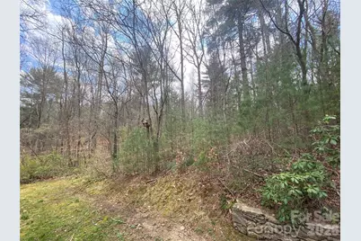 23 Old Farm School Road, Asheville, NC 28805 - Photo 7