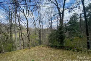 23 Old Farm School Rd, Asheville, NC 28805 - Photo 13