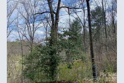 23 Old Farm School Road, Asheville, NC 28805 - Photo 9