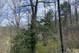 23 Old Farm School Rd, Asheville, NC 28805 - Photo 9