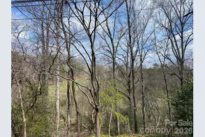 23 Old Farm School Road, Asheville, NC 28805 - Photo 11