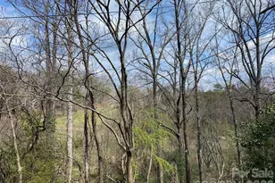 23 Old Farm School Rd, Asheville, NC 28805 - Photo 11