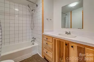 6 Alexander St, Black Mountain, NC 28711 - Photo 13