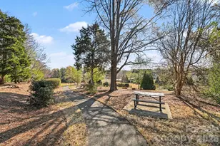 12409 Cranberry Glades Dr, Cornelius, NC 28031 - Photo 29