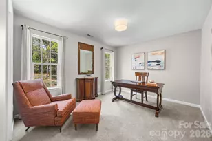 9916 Empire Woods Ct, Charlotte, NC 28277 - Photo 23