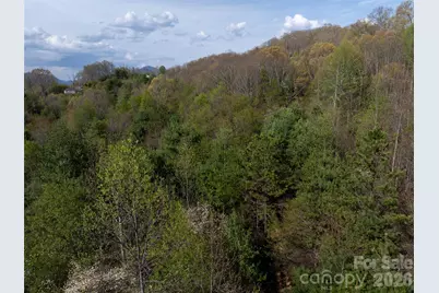 Lot 38 Sunnybrook Trail, Clyde, NC 28721 - Photo 9