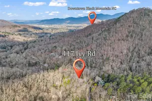 417 Ivy Rd, Black Mountain, NC 28711 - Photo 41