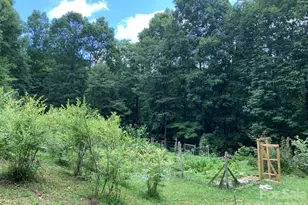1022 Coweeta Gap Rd, Otto, NC 28763 - Photo 25