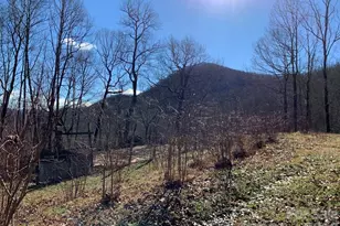 1022 Coweeta Gap Rd, Otto, NC 28763 - Photo 29