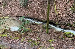 1022 Coweeta Gap Rd, Otto, NC 28763 - Photo 27