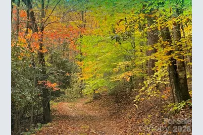 1022 Coweeta Gap Road, Otto, NC 28763 - Photo 23