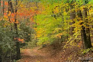 1022 Coweeta Gap Rd, Otto, NC 28763 - Photo 23