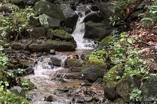 1022 Coweeta Gap Rd, Otto, NC 28763 - Photo 17