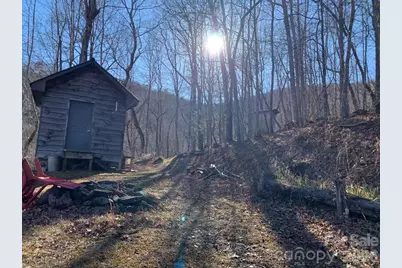 1022 Coweeta Gap Road, Otto, NC 28763 - Photo 19