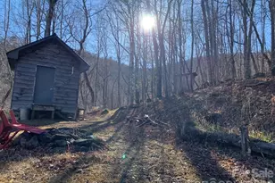 1022 Coweeta Gap Rd, Otto, NC 28763 - Photo 19