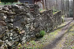 1022 Coweeta Gap Rd, Otto, NC 28763 - Photo 15