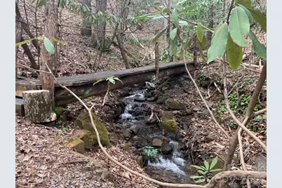 1022 Coweeta Gap Road, Otto, NC 28763 - Photo 35