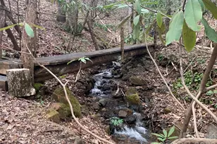 1022 Coweeta Gap Rd, Otto, NC 28763 - Photo 35