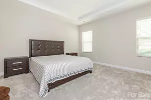 14816 Batteliere Dr, Charlotte, NC 28278 - Photo 15