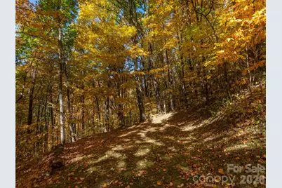0 Legend Road #18, Waynesville, NC 28786 - Photo 15