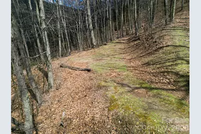 0 Legend Road #18, Waynesville, NC 28786 - Photo 3