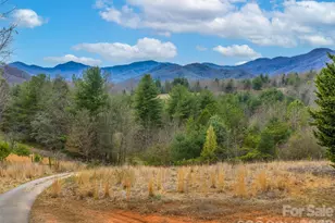 99999 Aladdin Dr, Leicester, NC 28748 - Photo 11