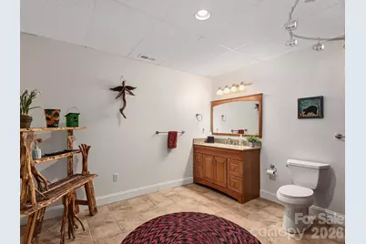 420 Chimney Rock Drive, Weaverville, NC 28787 - Photo 27