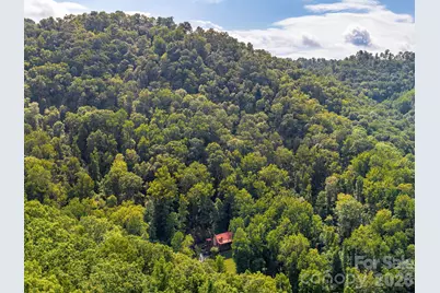 420 Chimney Rock Drive, Weaverville, NC 28787 - Photo 41