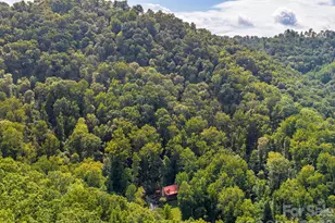420 Chimney Rock Dr, Weaverville, NC 28787 - Photo 41