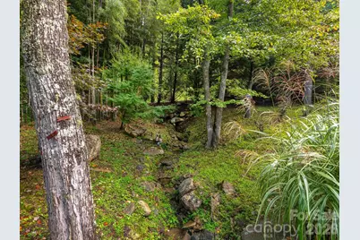 420 Chimney Rock Drive, Weaverville, NC 28787 - Photo 33