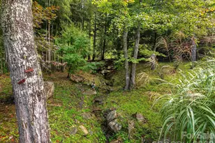 420 Chimney Rock Dr, Weaverville, NC 28787 - Photo 33