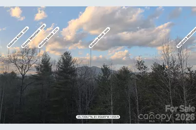 521 Waters Edge Drive, Nebo, NC 28761 - Photo 7