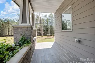 8128 Cane Pointe Ln, Waxhaw, NC 28173 - Photo 3