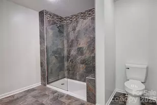 225 Sheepnose Dr, Lake Lure, NC 28746 - Photo 21